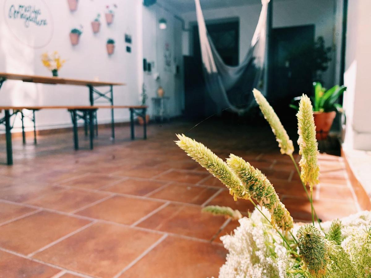 Maria Magdalena - Room 10 มาลากา ภายนอก รูปภาพ
